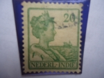 Sellos del Mundo : America : Netherlands_Antilles : Queen  Wilhelmine - Tipo Seeger