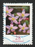 Stamps Germany -  2910 - Flor, Centaureé