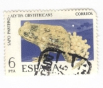 Stamps Spain -  Edifil 2275. Fauna hispánica. Sapo partero