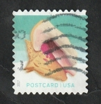 Stamps United States -  4974 - Concha marina
