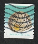 Stamps United States -  4977 - Concha marina