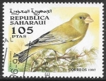 Stamps Morocco -  aves