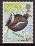 Stamps United Kingdom -  serie- Pájaros ingleses
