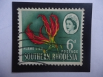 Stamps Zimbabwe -  Rhodesia-Rodesia- Flame Lily (Lirio de la Llama)--Independencia 11 Nov. 1965