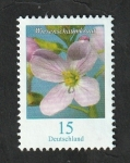 Stamps Germany -  3202 - Flor, Limnanthes alba