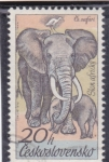 Stamps : Europe : Czechoslovakia :  ELEFANTES