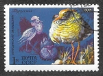 Sellos de Europa - Rusia -  4361 - L Aniversario de la Reserva Natural de Stolby