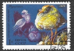 Stamps Russia -  4361 - L Aniversario de la Reserva Natural de Stolby