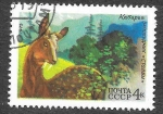 Sellos de Europa - Rusia -  4362 - L Aniversario de la Reserva Natural de Stolby