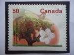 Stamps Canada -  Snow Apple (Pommier Fameuse - Manzana de Nieve - Serie:Árboles Frutale y de Nueces.s