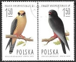 Sellos de Europa - Polonia -  aves