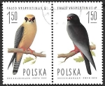 Stamps Poland -  aves