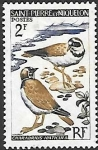 Sellos de America - San Pierre & Miquelon -  aves
