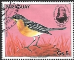 Sellos de America - Paraguay -  aves