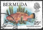 Sellos del Mundo : America : Bermudas : peces