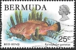 Stamps : America : Bermuda :  peces