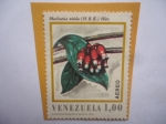 Stamps Venezuela -  Especie: Macleania Nítida (H.B.K.) Hier. - serie: Flora de Venezuela