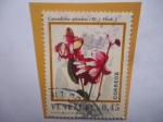 Stamps Venezuela -  Especie: Cavendishia Splendens (Kl.) Hook.f.