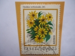 Stamps Venezuela -  Especie Oyedaea Verbesinoides. DC.