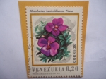 Stamps Venezuela -  Especie: Monochaetum Humboldtianum. Triana .