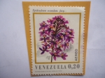 Stamps Venezuela -  Especie: Epidendrum Secundum. Jacq.