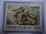 Stamps Venezuela -  Tragavenado (Boa constrictor) - Serie: Serpientes.