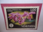 Stamps : Europe : Vatican_City :  Cattleya Lawrenceana RCHB.F. - Lirio Morado -Sociedad Venezolana de Ciencias Naturales-Serie: Orquí