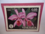 Stamps Venezuela -  Cattleya Gaskelliana RCHB.F. -Caripeña-Serir:Orquídeas-Sociedad Venezolana de Ciencias Naturales-Emb