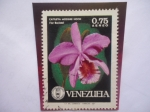 Stamps Venezuela -  Cattleya Mossiae HOOK - Flor Nacional-Serie:Orquídeas-Sociedad Venezolana de Ciencias Naturales-Embl