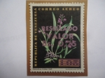 Sellos de America - Venezuela -  Orquídeas - Epidendrum Lividum Lindi - Serie: Sobretasa 0,25 sobre 1,05 Bs.