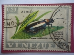 Sellos de America - Venezuela -  Coquito Perforador - Systena sp - (Ataca el Cultivo de Hortalizas en General)