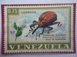 Sellos de America - Venezuela -  Picudo del Algodón - Anthonomus grandis Boh - (Ataca:Al Algodón).