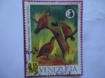 Stamps Venezuela -  Codorniz (Odontophorus gujanensis)  Serie:Conserve los Recursos Naturales  Renovables Venezuela los 
