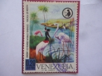 Stamps Venezuela -  Aves - Conserve los Recursoa Naturales Renovables - Venezuela los Necesita.