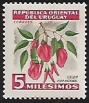 Sellos de America - Uruguay -  Ceibo, flor nacional 