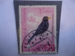 Stamps Venezuela -  Paraulata Montañera - Zorzal Negro Brillante (Turdus Serranus)- Serie:Fauna V/zolana.