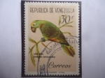Stamps Venezuela -  Loro Real (Amazona ochroceohala)