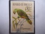 Sellos de America - Venezuela -  Loro Real (Amazona ochroceohala)