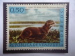 Stamps Venezuela -  El Perro de Agua o Nutria (Pteronura brasiliensis) - Fauna Venezolana.