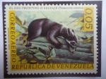 Stamps Venezuela -  EWl Oso Frontino o Salvaje (Tremarctos ornatus) - Fauna Venezolana.