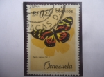 Sellos de America - Venezuela -  Papilio Zagreus Dbl - serie: Mariposas.