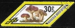 Stamps Mongolia -  Setas - Russula cyanoxantha