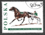 Stamps Poland -  1478 - Caballo