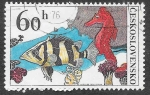 Stamps Czechoslovakia -  2008 - Peces Tropicales