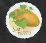 Stamps Russia -  6749 - Melón