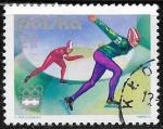 Stamps Poland -  Juegos Olímpicos 1976 - Innsbruck
