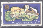 Stamps : Europe : Hungary :  caza  Y2157