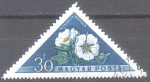 Stamps : Europe : Hungary :  kitaibella vitifolia Y1250 RESERVADO