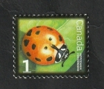 Stamps Canada -  2315 - Hippodamia convergens