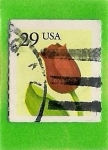 Stamps United States -  Rosa